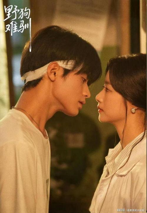 朱门假千金寒门真凤凰