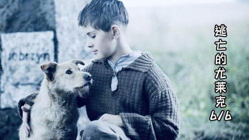 流浪的尤莱克,探寻孤独灵魂的流浪之旅