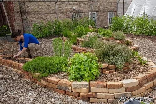 食材花园,打造自给自足的绿色菜园秘籍