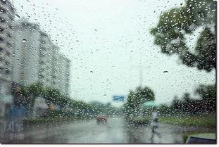 在雨中,邂逅诗意与浪漫