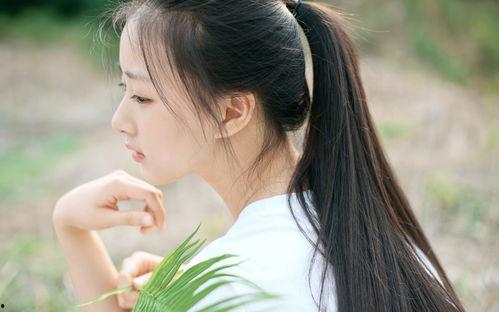 离婚本小姐爱得起放得下（陆总别太爱了夫人她眼里揉不得沙子）